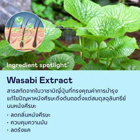 Happy Hair Starter Set