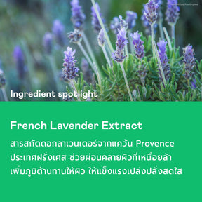 Aroma Calming Cream